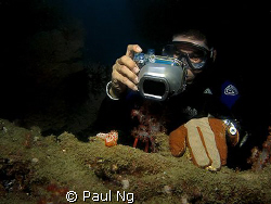 Beginner UWP learning to shoot Nudi's. Taken with S80 Can... by Paul Ng 